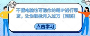 不懂电脑也可操作的蹭IP进行带货,让你轻松月入过万【揭秘】-水滴知识网