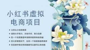 小红书虚拟电商从0到1,让你从小白到精英(20节实操课程)-水滴知识网