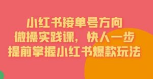 接单号方向·小红书微操实践课,快人一步,提前掌握小红书爆款玩法-水滴知识网
