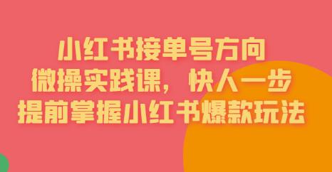 接单号方向·小红书微操实践课,快人一步,提前掌握小红书爆款玩法-水滴知识网