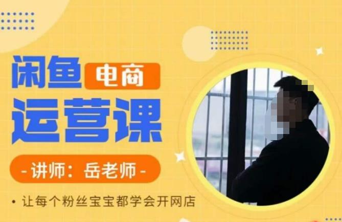 岳老师·闲鱼电商运营课，让每个粉丝宝宝都学会开网店-水滴知识网