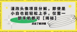 漫改头像项目分解,即使是小白也能轻松上手,仅需一部手机即可【揭秘】-水滴知识网