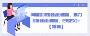 闲鱼引流创业粉课程,暴力引创业粉课程,日引50+【揭秘】-水滴知识网