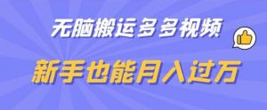 无脑搬运多多视频,新手也能月入过万【揭秘】-水滴知识网