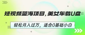 短视频蓝海项目,美女车载U盘,轻松月入过万,适合0基础小白【揭秘】-水滴知识网