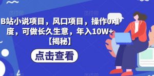 B站小说项目,风口项目,操作0难度,可做长久生意,年入10W+【揭秘】-水滴知识网