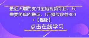 最近火爆的支付宝短视频项目，只需要简单的搬运，1万播放收益300+【揭秘】-水滴知识网