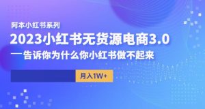 阿本小红书无货源电商3.0,告诉你为什么你小红书做不起来-水滴知识网