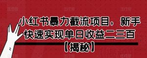 小红书暴力截流项目，新手快速实现单日收益二三百【仅揭秘】-水滴知识网