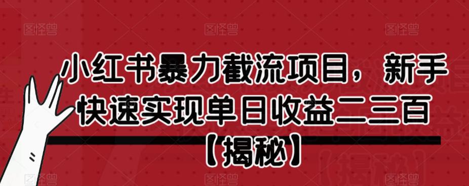 小红书暴力截流项目，新手快速实现单日收益二三百【仅揭秘】-水滴知识网