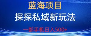 蓝海项目,探探私域新玩法,一部手机日入500+很轻松【揭秘】-水滴知识网