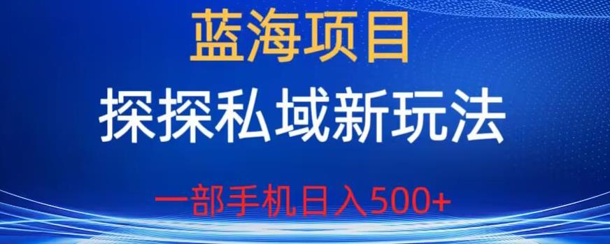 蓝海项目,探探私域新玩法,一部手机日入500+很轻松【揭秘】-水滴知识网