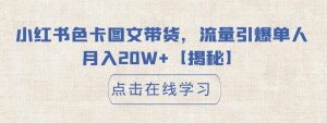 小红书色卡图文带货,流量引爆单人月入20W+【揭秘】-水滴知识网