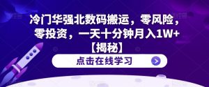 冷门华强北数码搬运,零风险,零投资,一天十分钟月入1W+【揭秘】-水滴知识网