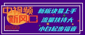 中视频新风口,新板块易上手,流量扶持大,小白起步福音【揭秘】-水滴知识网
