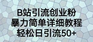 B站引流创业粉，暴力简单详细教程，轻松日引流50+【揭秘】-水滴知识网