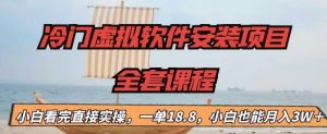 冷门虚拟软件安装项目，一单18.8，小白也能月入3W＋【揭秘】-水滴知识网