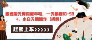 极速版无费用薅羊毛,一天躺赚10-50+,小白无脑操作【拆解】-水滴知识网
