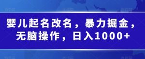 婴儿起名改名,暴力掘金,无脑操作,日入1000+【揭秘】-水滴知识网