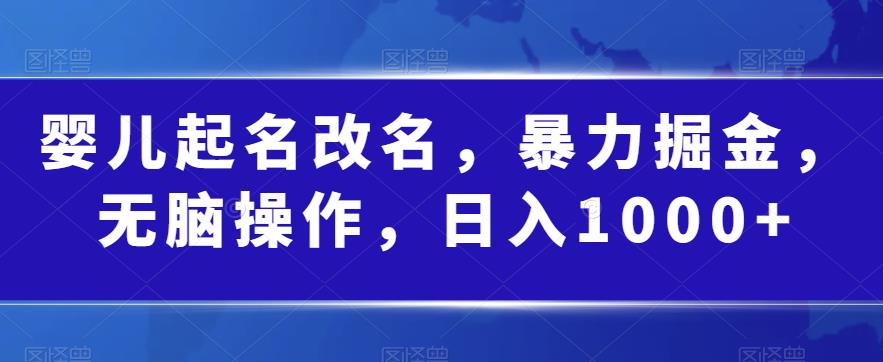 婴儿起名改名，暴力掘金，无脑操作，日入1000+【揭秘】-水滴知识网