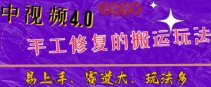 中视频4.0赛道：新手福音，一小时制作，三天过计划，7天看效果【揭秘】-水滴知识网