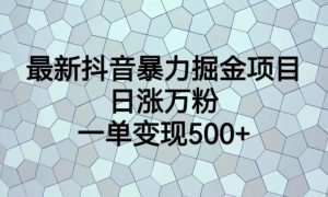 最新抖音暴力掘金项目,日涨万粉,一单变现500+【揭秘】-水滴知识网