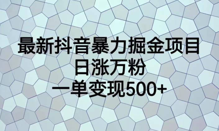 最新抖音暴力掘金项目，日涨万粉，一单变现500+【揭秘】-水滴知识网