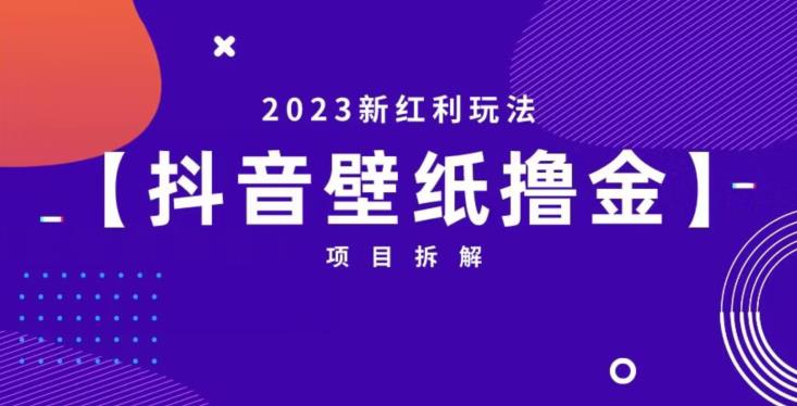 抖音壁纸小程序创作者撸金项目，2023新红利玩法【项目拆解】-水滴知识网