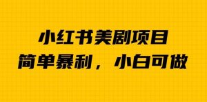 外面卖1980的小红书美剧项目，单日收益1000＋，小众暴利的赛道【揭秘】-水滴知识网