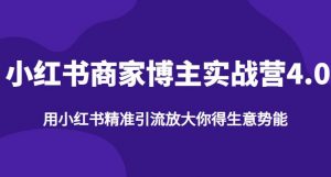 【推荐】小红书商家博主精准引流实战营4.0,用小红书放大你的生意势能-水滴知识网