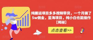 纯搬运项目多多视频带货,一个月搞了5w佣金,蓝海项目,纯小白也能操作【揭秘】-水滴知识网