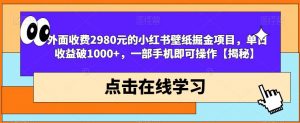 外面收费2980元的小红书壁纸掘金项目,单日收益破1000+,一部手机即可操作【揭秘】-水滴知识网
