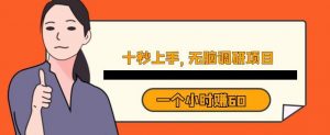 十秒钟上手,一个小时60元暴利无脑调研项目【揭秘】-水滴知识网