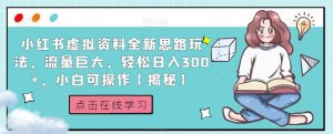 小红书虚拟资料全新思路玩法,流量巨大,轻松日入300+,小白可操作【揭秘】-水滴知识网