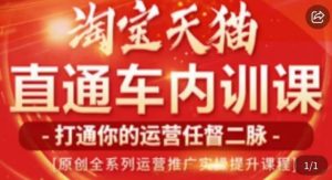 天问电商·2023淘宝天猫直通车内训课,零基础学起直通车运营实操课程-水滴知识网