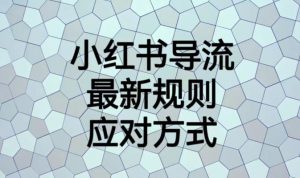 小红书导流最新规则应对方式【揭秘】-水滴知识网