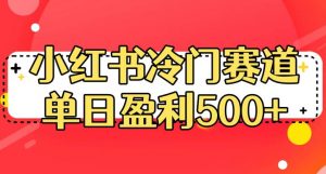 小红书冷门赛道,单日盈利500+【揭秘】-水滴知识网