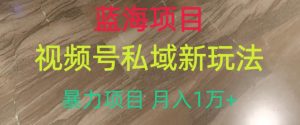 蓝海项目，视频号私域新玩法，暴力项目月入1万+【揭秘】-水滴知识网