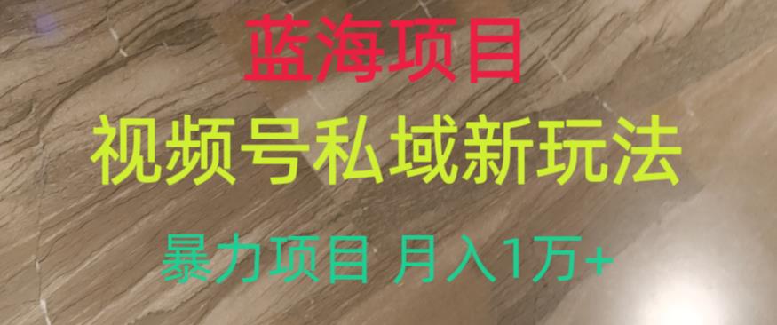蓝海项目,视频号私域新玩法,暴力项目月入1万+【揭秘】-水滴知识网