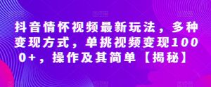 抖音情怀视频最新玩法,多种变现方式,单挑视频变现1000+,操作及其简单【揭秘】-水滴知识网