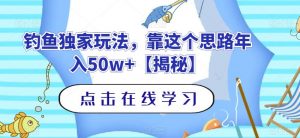 钓鱼独家玩法,靠这个思路年入50w+【揭秘】-水滴知识网