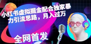 小红书虚拟掘金配合独家首发暴力引流思路，月入过万【揭秘】-水滴知识网