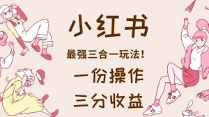 小红书最强三合一玩法,一份操作获得三份收益!【揭秘】-水滴知识网