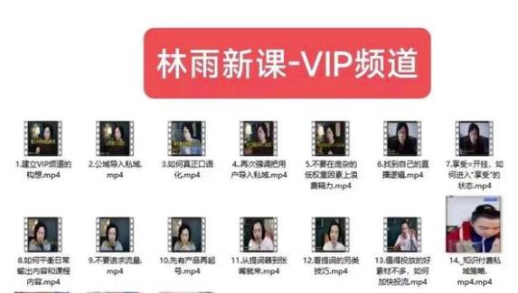 林雨新课VIP频道,玩赚私域/朋友圈/社群-水滴知识网
