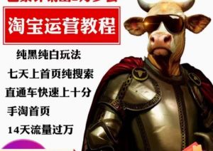 猫老师·淘系算法逆向解密，​纯黑纯白玩法，七天上首页纯搜索，手淘首页14天流量过万-水滴知识网