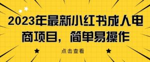 2023年最新小红书成人电商项目,简单易操作【详细教程】【揭秘】-水滴知识网