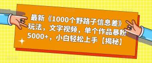 最新《1000个野路子信息差》玩法，文字视频，单个作品暴粉5000+，小白轻松上手【揭秘】-水滴知识网