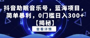 抖音助眠音乐号,蓝海项目,简单暴利,0门槛日入300+【揭秘】-水滴知识网