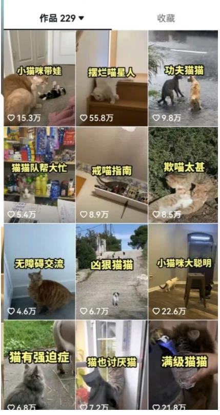 拆解:抖音盘点类中视频变现副业项目,视频版一条龙大解析分享给你-水滴知识网