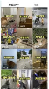 拆解抖音盘点类中视频变现副业项目，视频版一条龙大解析分享给你【视频课程】-水滴知识网